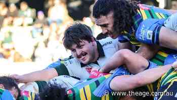 Warringah Rats turn to fourth-grader for Shute Shield grand final