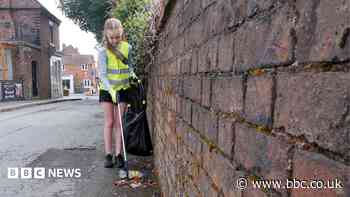 Isabelle's litter crusade spruces up hometown