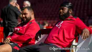 England star to halt Test career and Springboks refute All Blacks accusation