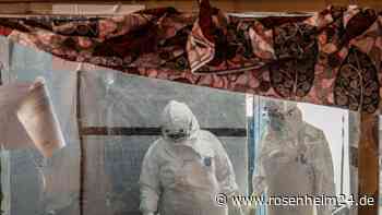 Zahl der Ebola-Toten im Kongo auf über 3.000 gestiegen