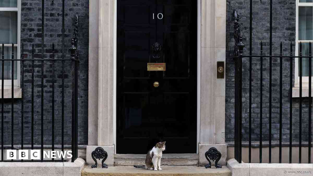 Fake 10 Downing Street listing exposes 'unfit' Booking.com, says consumer group