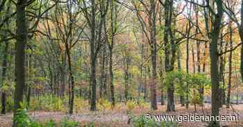 Wie zou er in vredesnaam een stukje Hoge Veluwe willen kopen? Nou, best veel mensen