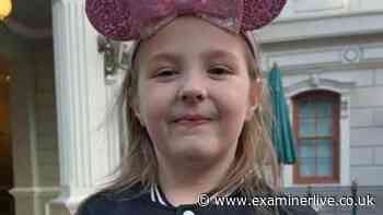 Tributes pour in for 'deeply loved' girl, 7, who died in house fire with aunt