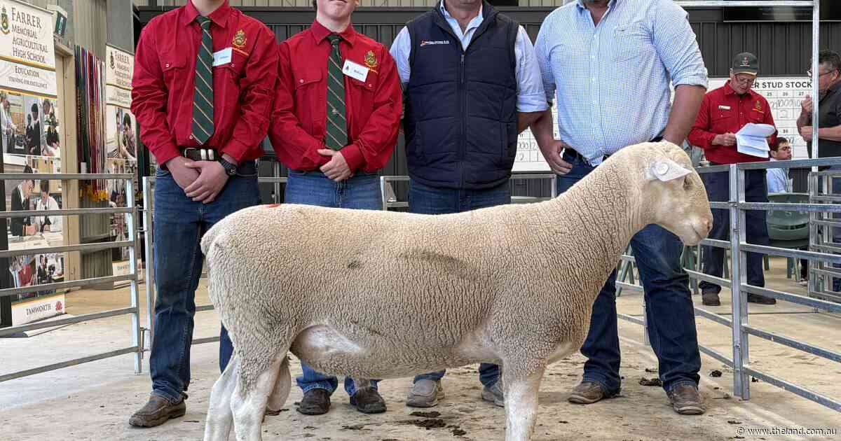 Farrer rams sell as far as WA as buyers chase structure and growth