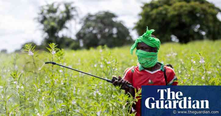 Almost half of world’s farmers poisoned by pesticides every year, experts find