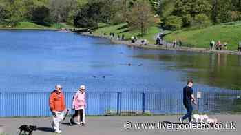 Met Office issues verdict on when hot weather will return after wet spell