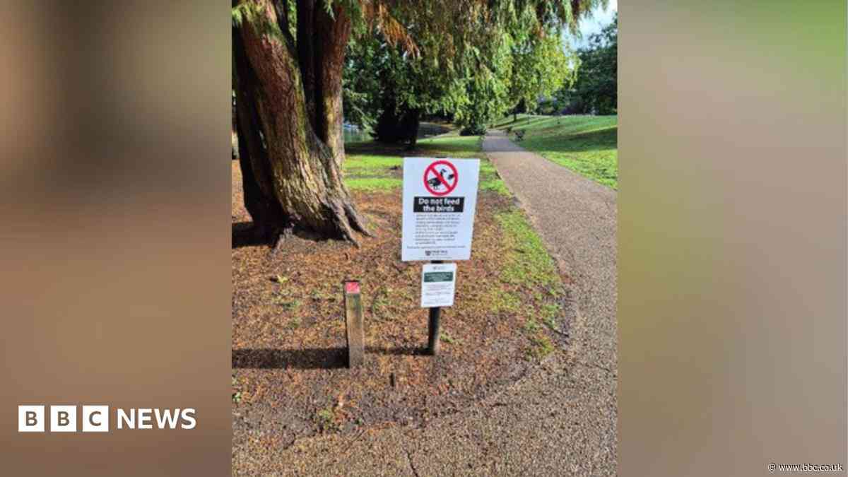 Council urges park visitors to stop feeding geese