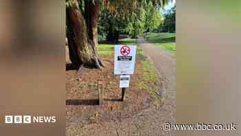 Council urges park visitors to stop feeding geese
