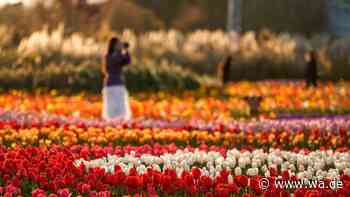 „Die schönsten Gärten“: Blumenparadies lockt zu jeder Jahreszeit