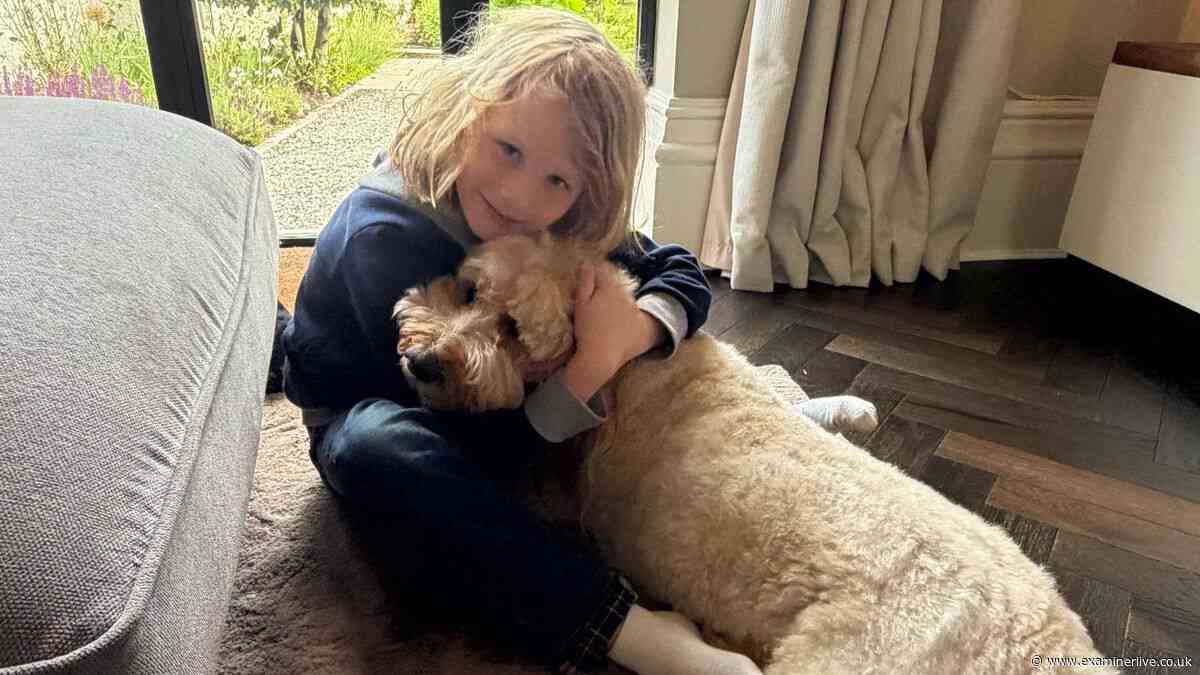 Family's heartbreak as dog dies during heatwave just hours after being left at Yorkshire boarding house
