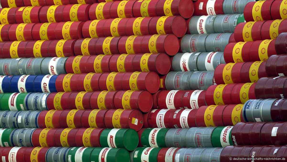 Die Verlierer der Hormus-Krise: Wie viel mehr zahlt die EU für fossile Energieimporte?