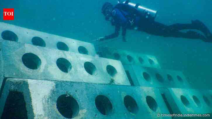 12 artificial reefs created in 1998 boosted local fish numbers and species richness off Miami Beach