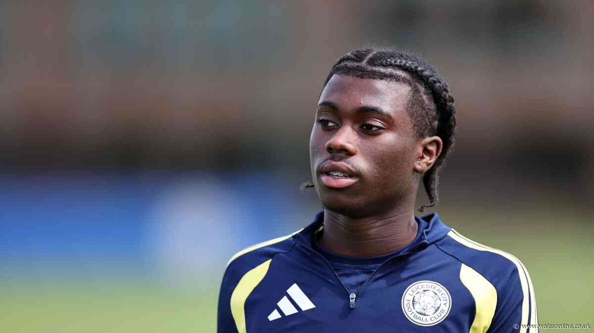 Swansea City announce final summer signing as club suffer striker blow