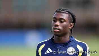 Swansea City announce final summer signing as club suffer striker blow