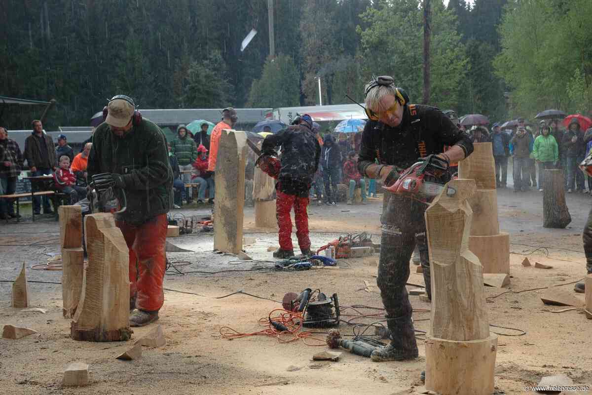 Kettensägenschnitzer zeigen auf Muldenberger Floßplatz im Vogtland ihr Können