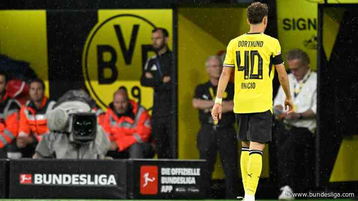 Who's suspended in the Bundesliga? Who is one card away from a ban?