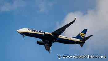 Ryanair issues winter oil price warning as some airlines may 'struggle to survive'