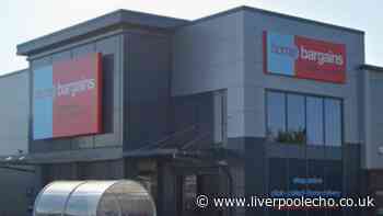 'Antique-inspired' Home Bargains item similar to £400 John Lewis version