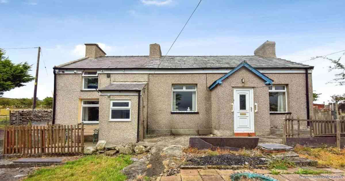 Two unremarkable homes sit empty, but what they are surrounded by is gobsmacking