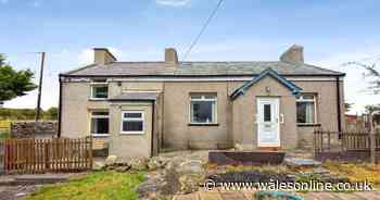 Two unremarkable homes sit empty, but what they are surrounded by is gobsmacking