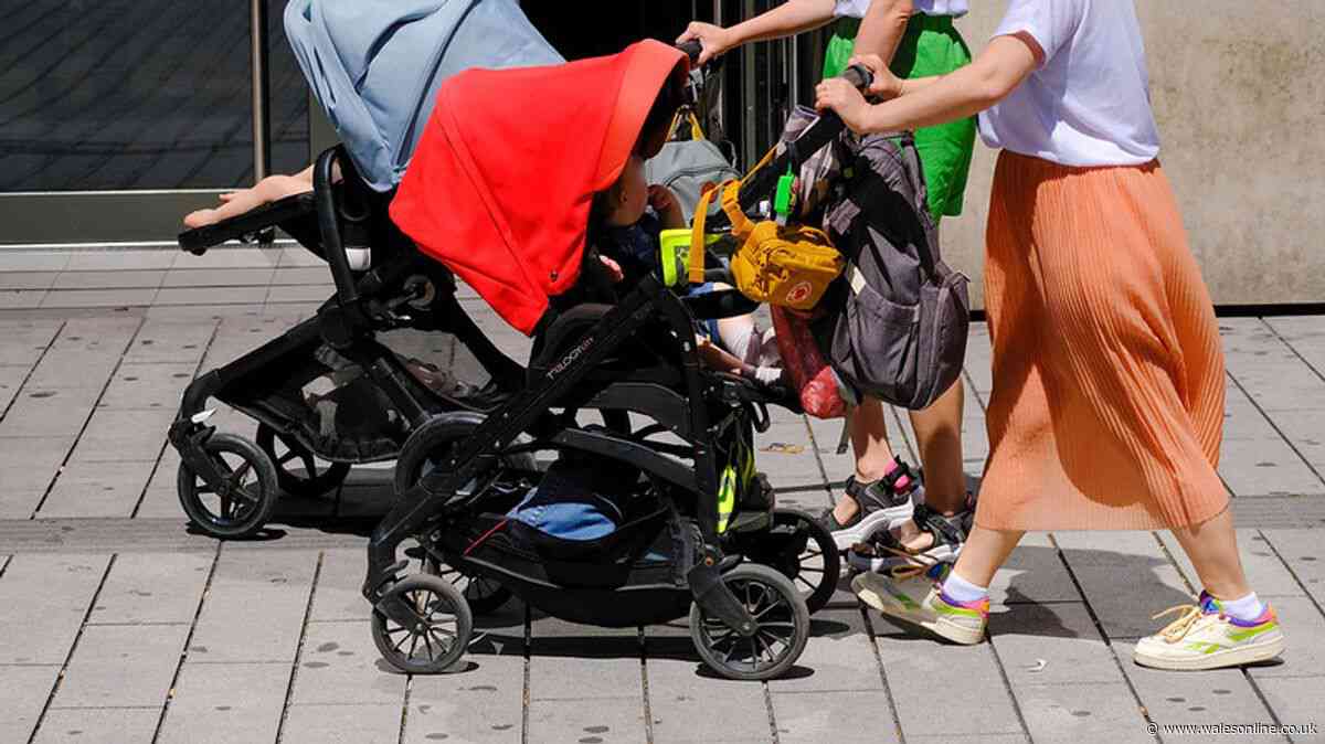 Baby expert explains how new parents can go out without stress
