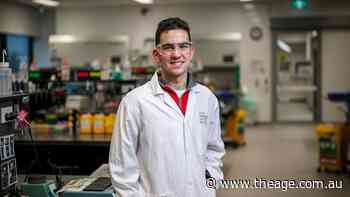 Forty-three students got perfect ATARs. Maths was their secret weapon