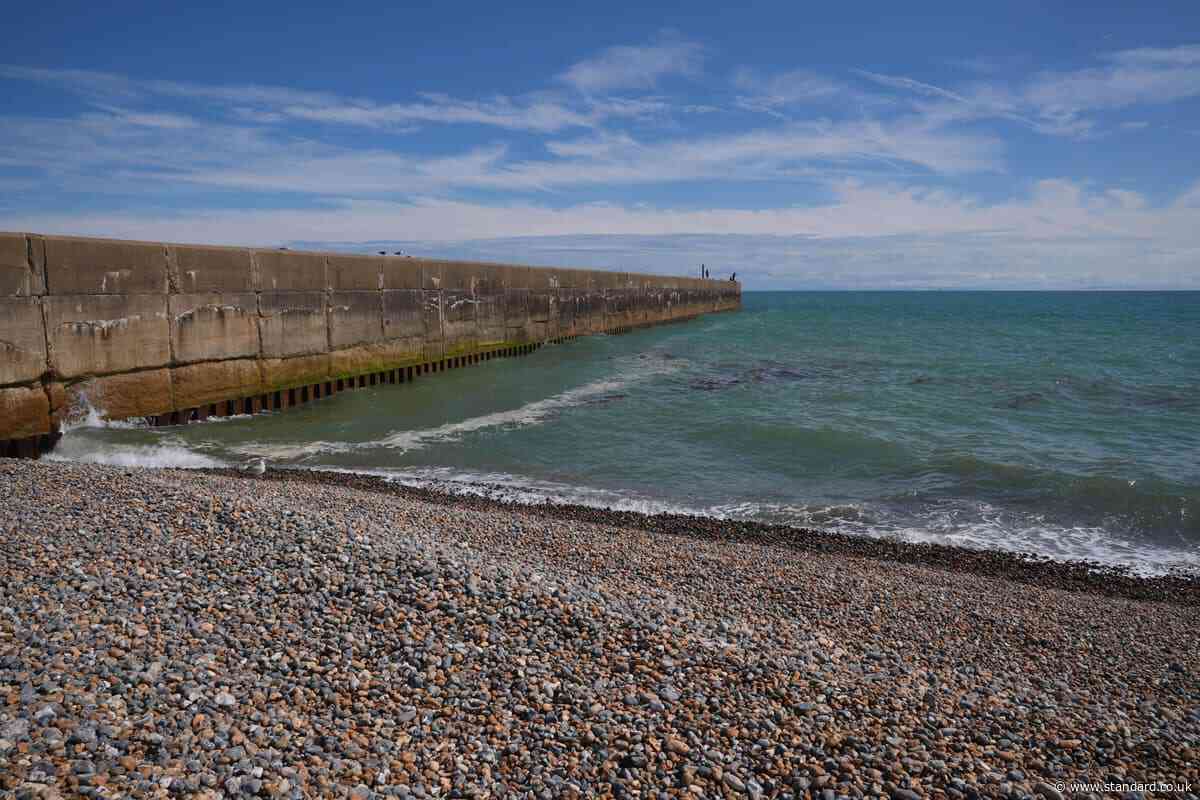 Family died after ‘getting into trouble’ in sea at Shoreham, inquest told