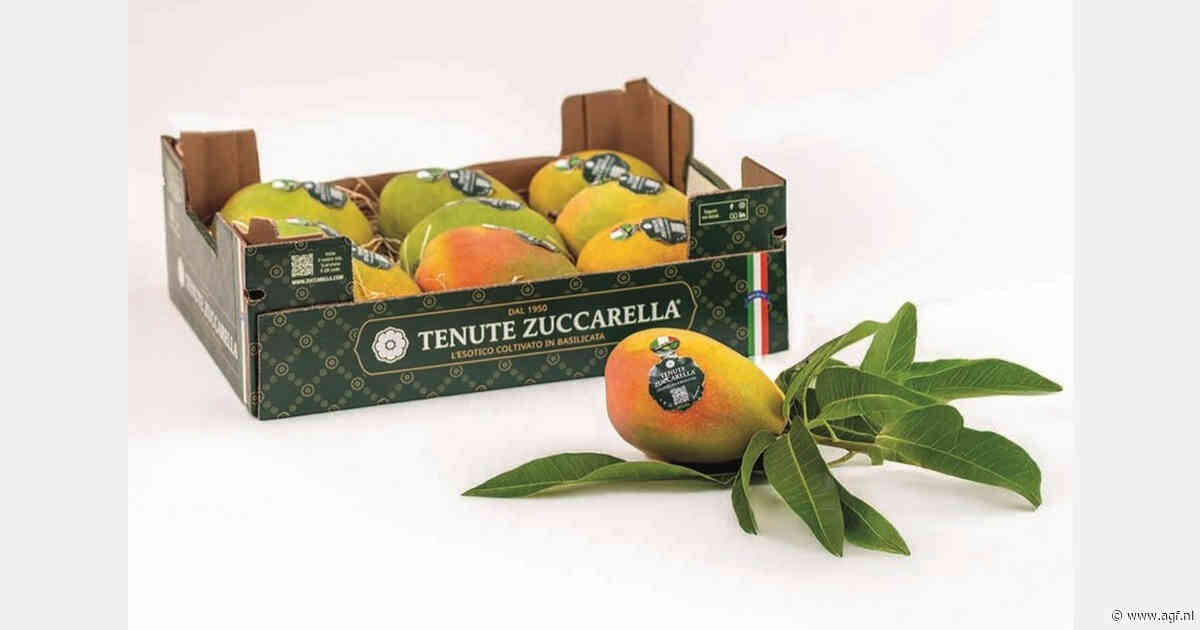 Van aardbeienregio tot mangoteler: Zuid-Italië verrassend veelzijdig