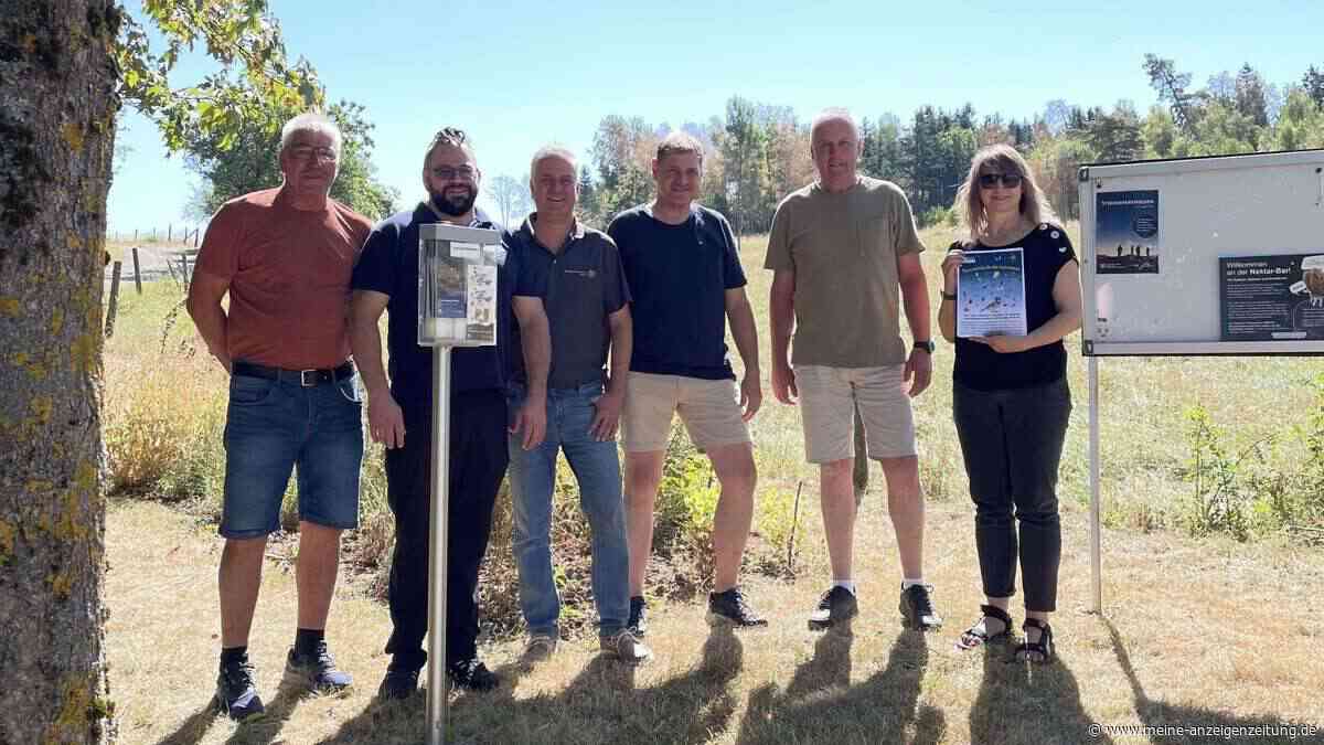 Für Spinner und Spanner: Warum die neue Nektar-Bar in der Rhön so wichtig ist