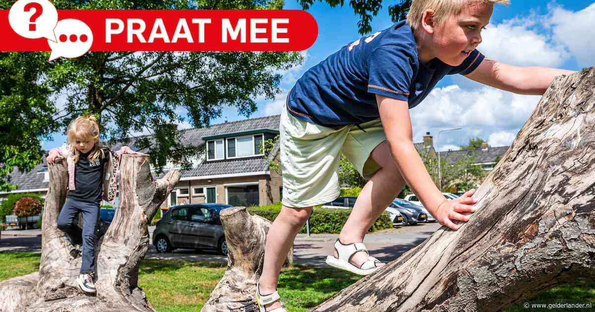 Van schommel naar boomstam: zijn verwilderde speeltuinen een goed idee?