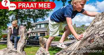 Van schommel naar boomstam: zijn verwilderde speeltuinen een goed idee?