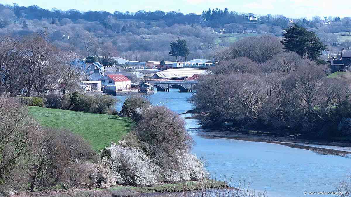 Petition calls for ban on 'highly toxic' everyday product that flows into Welsh river