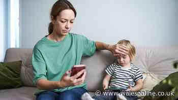 Stop children bringing home sick bugs from school with GP's six-step method