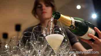 Younger drinkers help propel English wine sales past Christmas peak after record-breaking summer