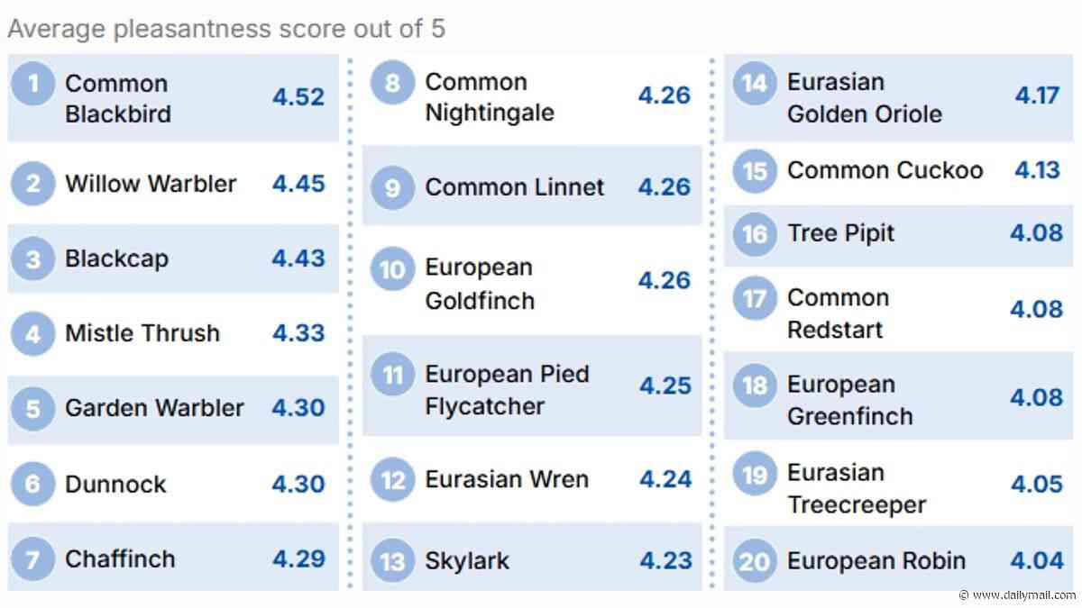 The prettiest birdsong, according to science - with blackbirds taking the top spot