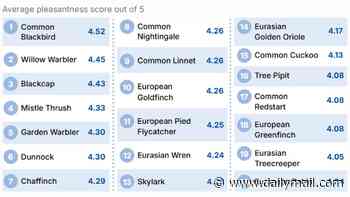 The prettiest birdsong, according to science - with blackbirds taking the top spot