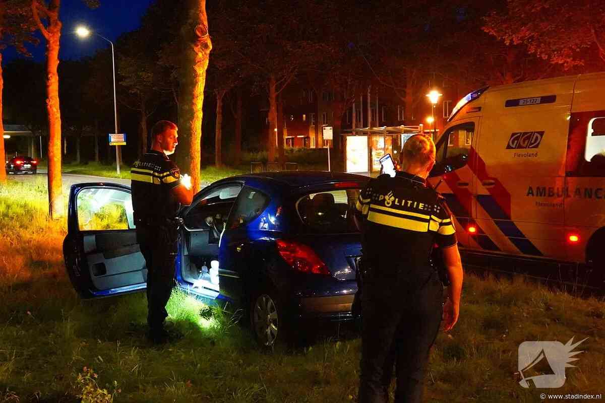Automobilist gewond bij botsing op boom in Lelystad