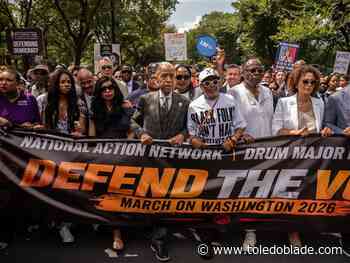 Lenawee advocacy group forced to watch March on Washington from home