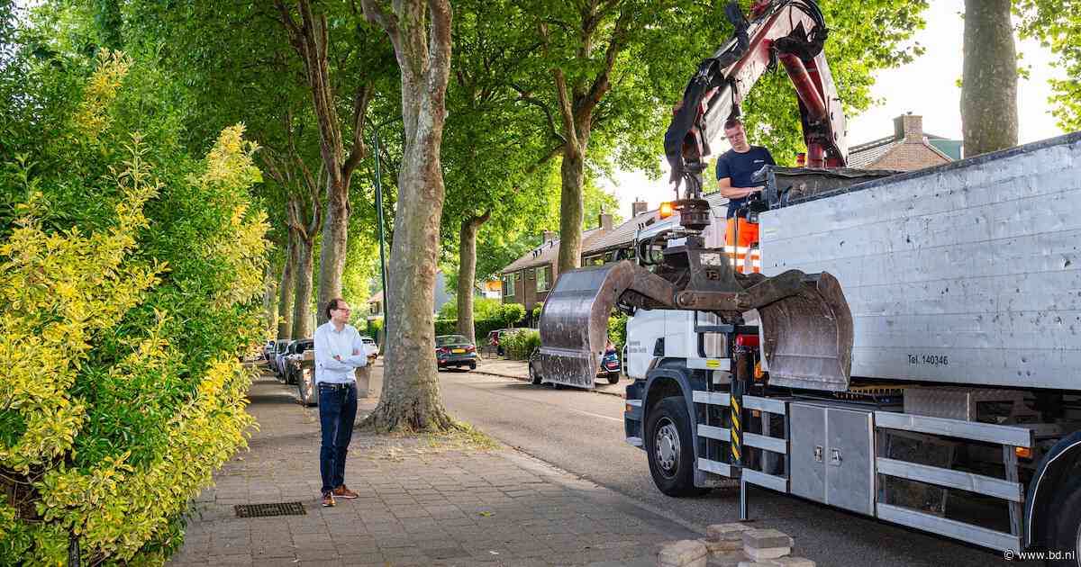 Tegeltaxi haalt in Boxtel gratis oude tuintegels op