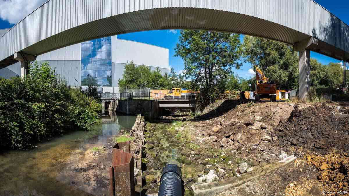 Erst zwölf Jahre alt – warum diese Fischtreppe für 500.000 Euro neu gebaut wird