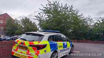 Four people charged with murder after newborn baby girl found dead in Sheffield