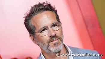 Ryan Reynolds defended as 'upset' rival boss slams £65m bid for Premier League