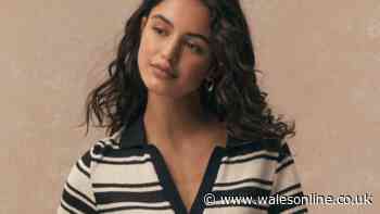 Next's £26 knitted polo in 'stylish' stripe pattern great for 'smart or casual' wear