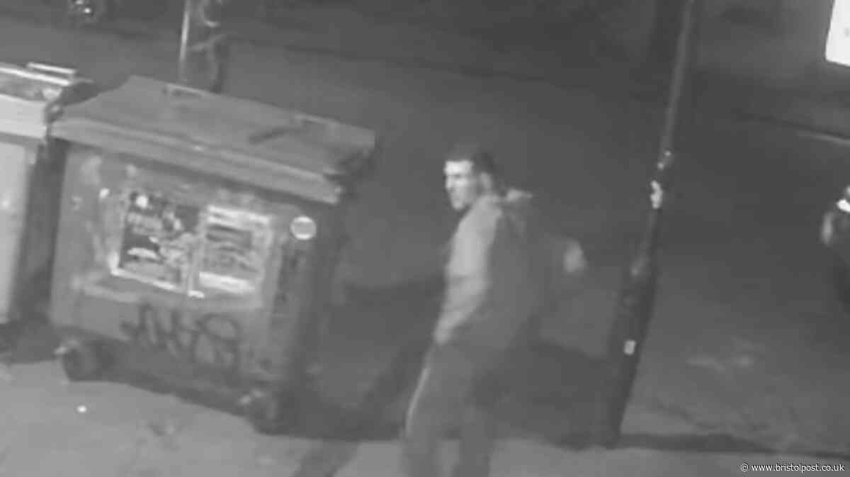 Good Samaritan hit with brick after attempting to stop fight