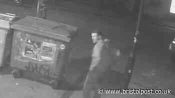 Good Samaritan hit with brick after attempting to stop fight