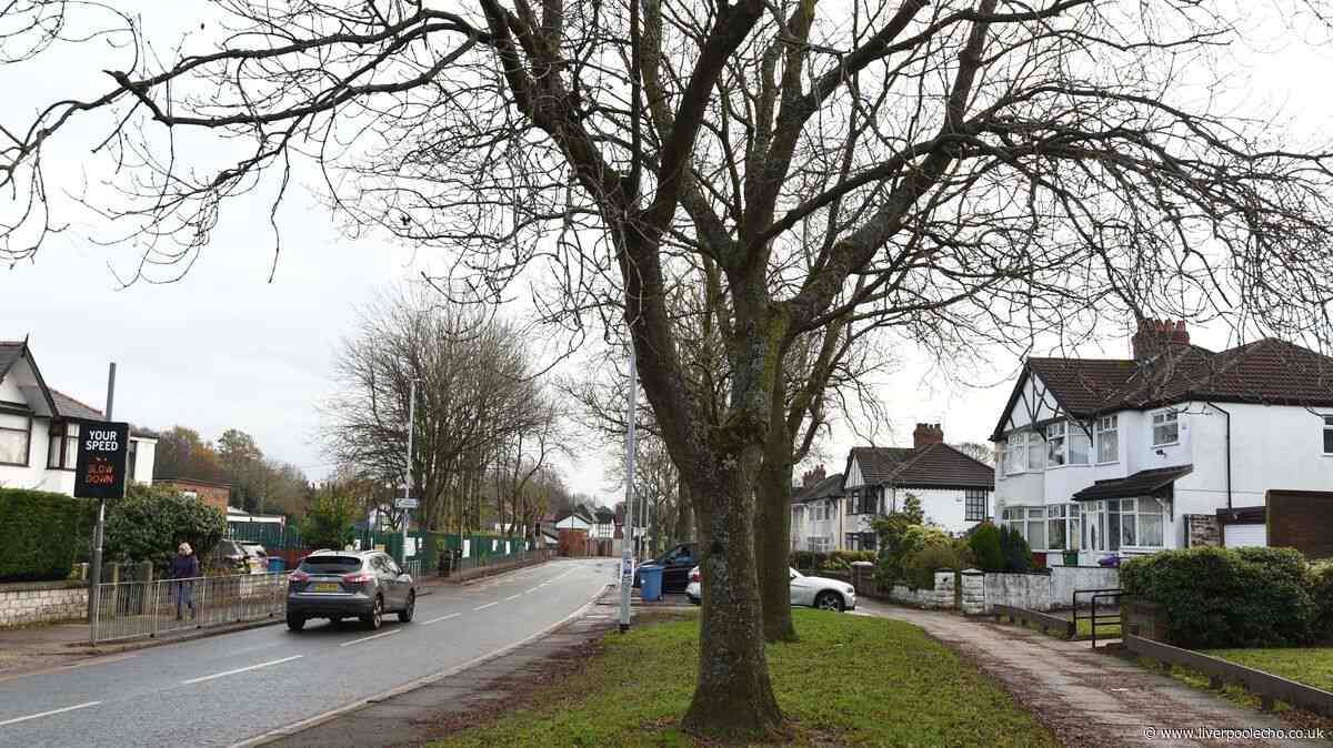 Police knock masked e-biker to the ground after near miss in West Derby