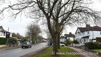 Police knock masked e-biker to the ground after near miss in West Derby