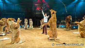 Neue Show auf dem Heiligengeistfeld: Das plant Circus Krone in Hamburg