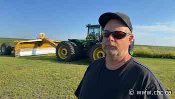 Swan River Valley, Man., farmers wait for relief after summer of floods