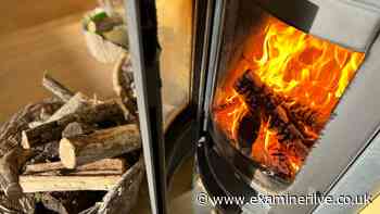 Wood burning stoves £300 fine alert as government considers change in rules